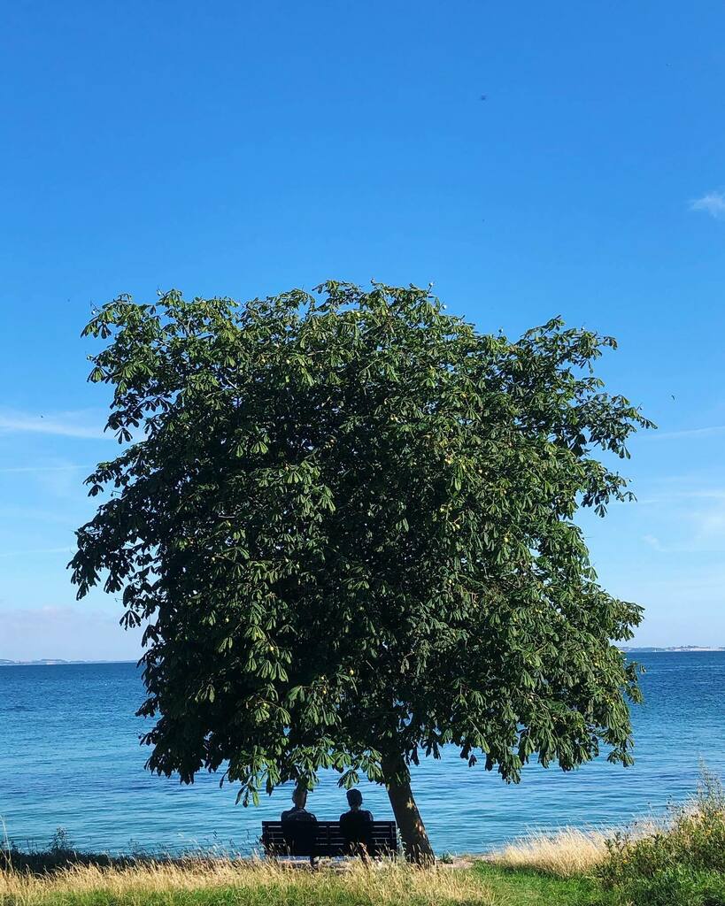 jonjarn's tweet photo. Hey Denmark, I'm in ya! Long time no see https://t.co/HMjq4EmlQZ https://t.co/L2FOFdrhta