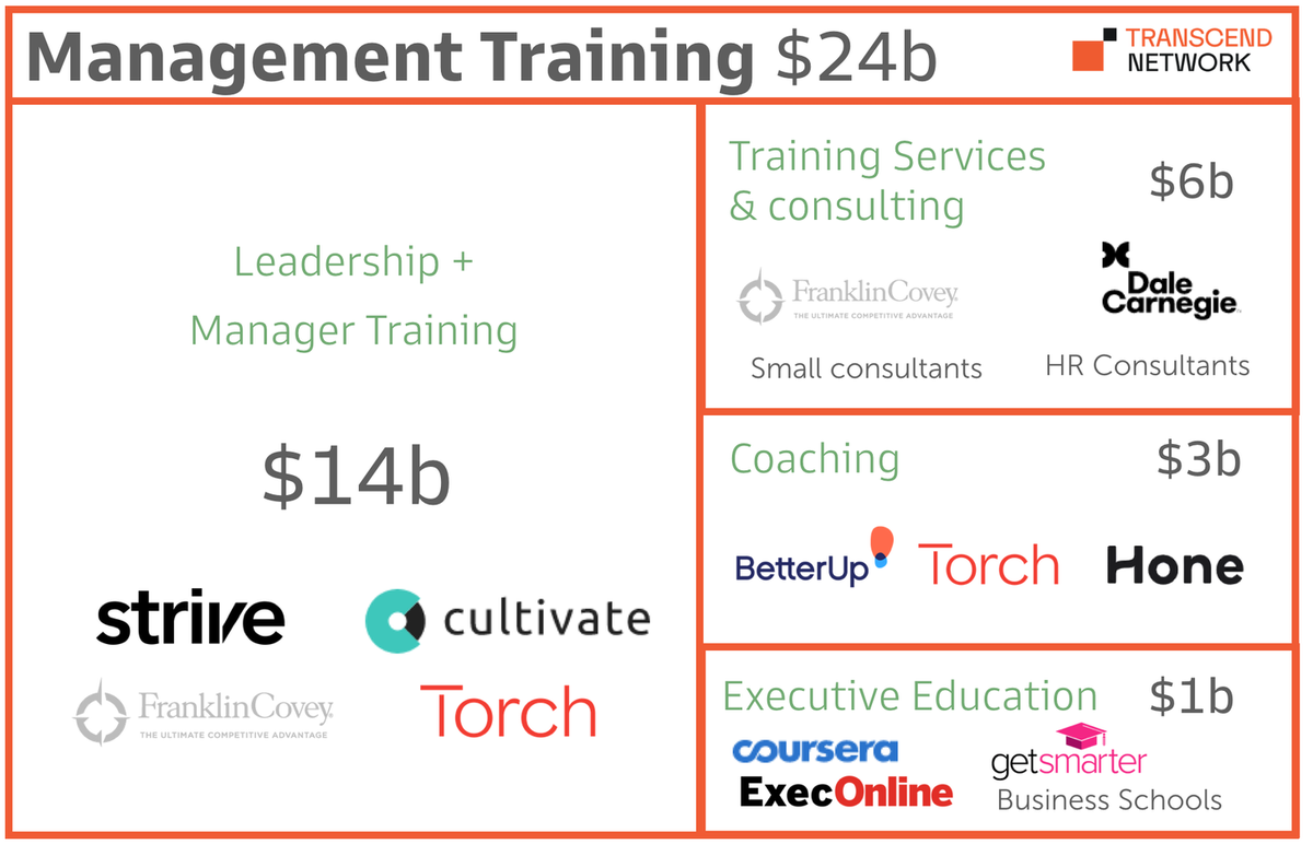 It involves training for executives and managers, and takes many different forms: coaching, training programs, exec ed (at business schools), consulting services, etc. Here are the main categories and players