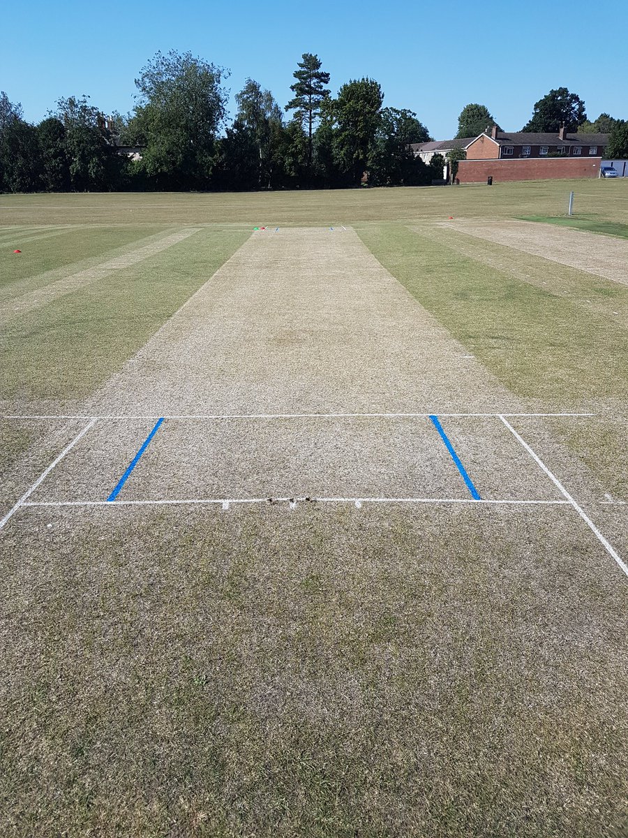 arobin65's tweet photo. Looking good for tomorrow @DissCC, fantastic work Mr Chairman, not seen one as good as this for a long time https://t.co/emN7daORHv