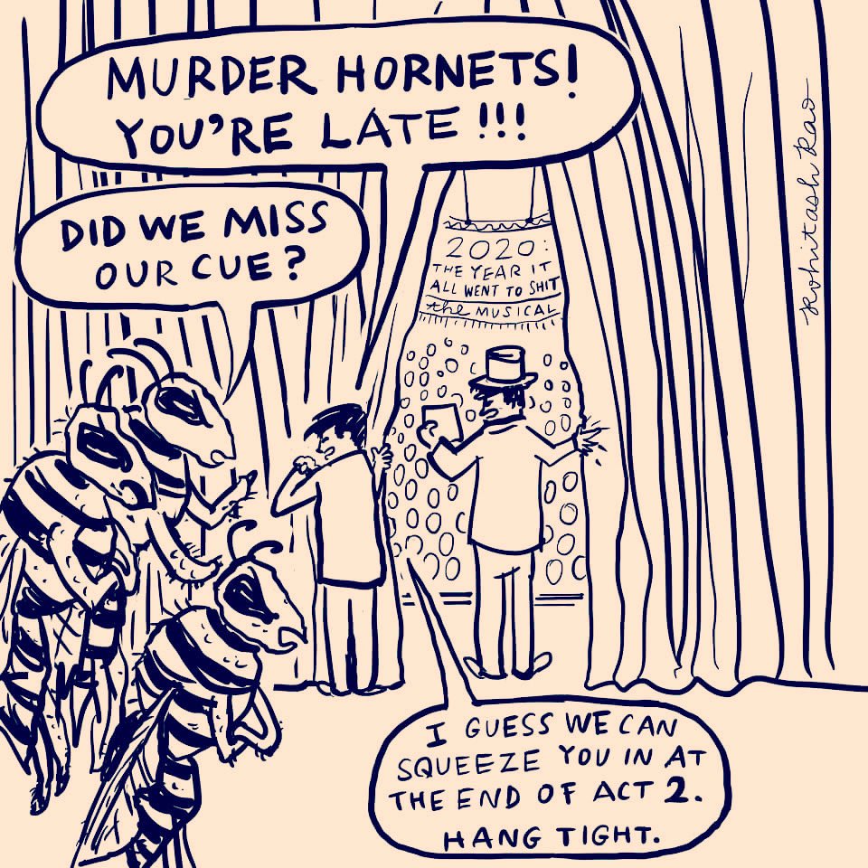 notnowro's tweet photo. Murder Hornets, you missed your cue. 
#2020 #theyearitallwenttoshit https://t.co/5el84Fdu9J