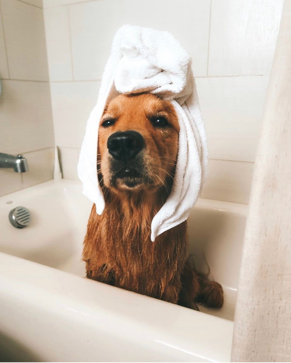 Virtual hang out with the ladies tonight. We're ready for #womenandwine 🥂 with @shallwewine hosted by @reginetrouseau 

What's on your agenda tonight? 

Photo Cred: <a href="/shopbando/">ban.do</a>

#friyay #itstheweekend #happyfriday #celebrate #happyhour #communityhappyhour #timetobond #makenewbe