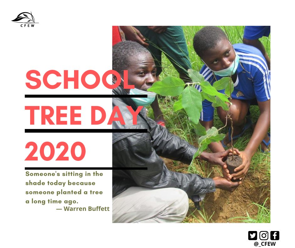 _CFEW's tweet photo. Since the beginning, trees have furnished us with two of lifeβs essentials, food and oxygen. As we evolved, they provided additional necessities such as shelter, medicine, and tools. #SchoolTreeDay #GreenSchoolProject #Youth4Land https://t.co/eqvjqbpTNk