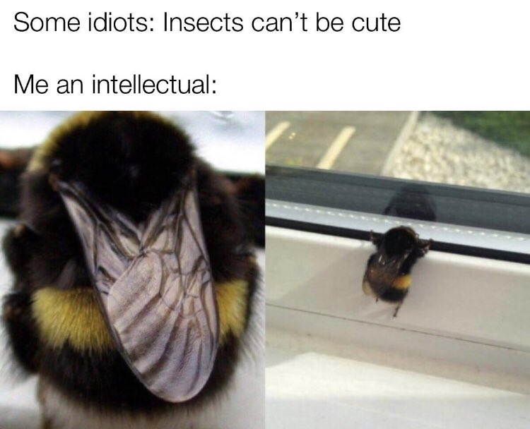 RespectfulMemes's tweet photo. https://t.co/ZcDrJLj9Es