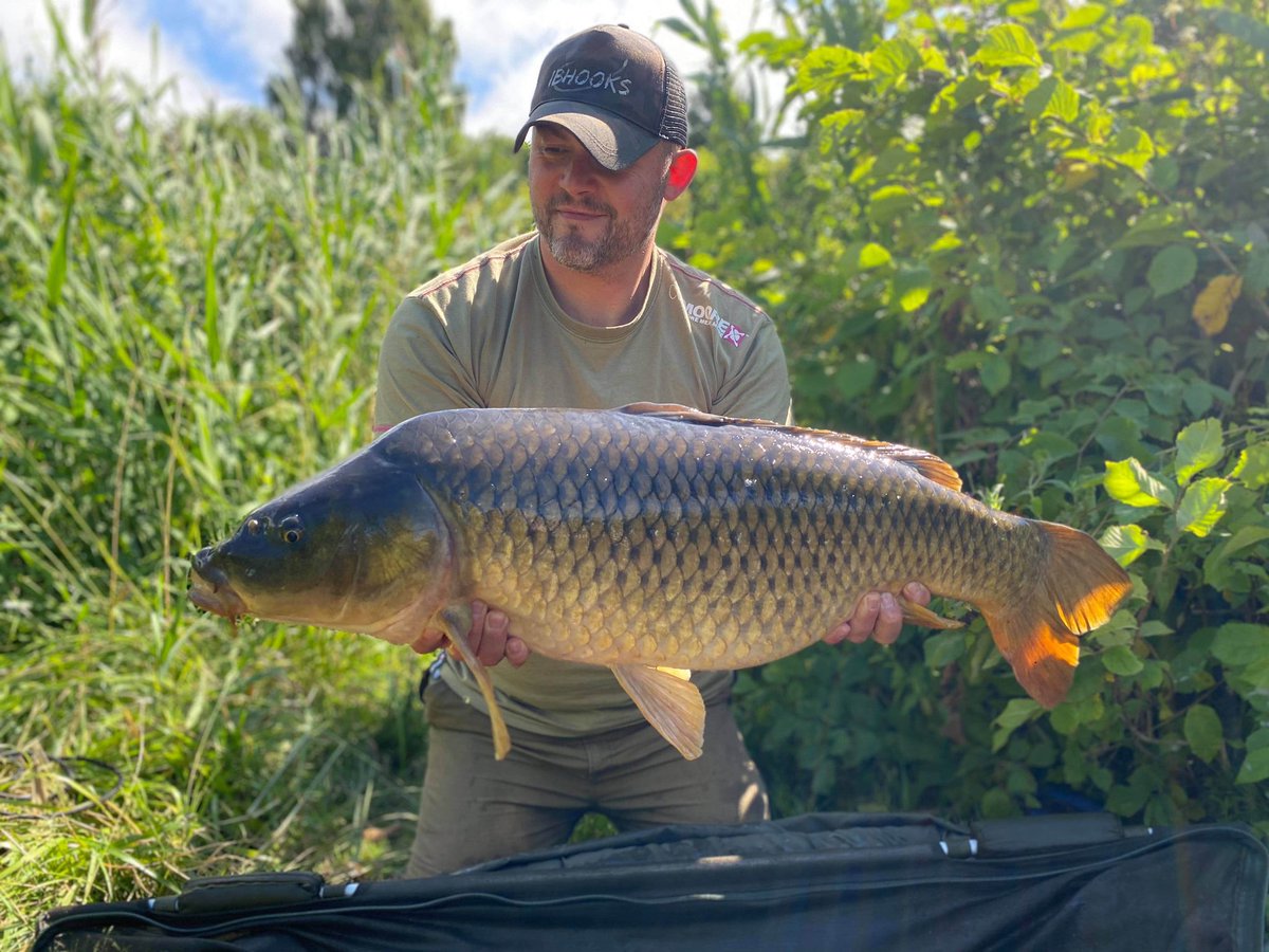 DanishBig's tweet photo. 24 lb. The carp freaks does it again @ccmoore_baits @Trakker_Carp @ShimanoTribal @kudostackle #ibhooks #catchandrelease #carp #carpfishing #mooremeansmore https://t.co/9SS4mrZBSi