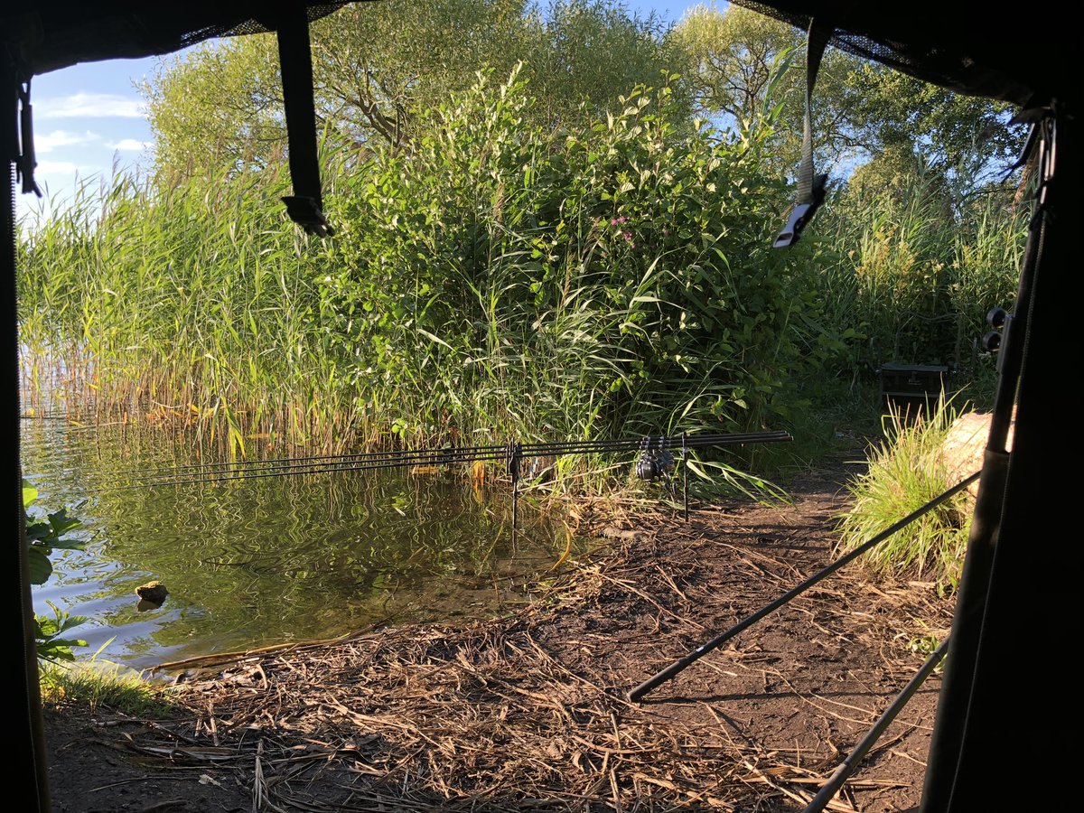 DanishBig's tweet photo. 24 lb. The carp freaks does it again @ccmoore_baits @Trakker_Carp @ShimanoTribal @kudostackle #ibhooks #catchandrelease #carp #carpfishing #mooremeansmore https://t.co/9SS4mrZBSi