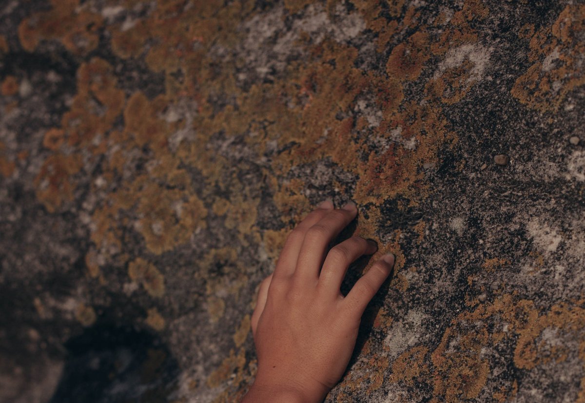 Science Ukraine tweet media