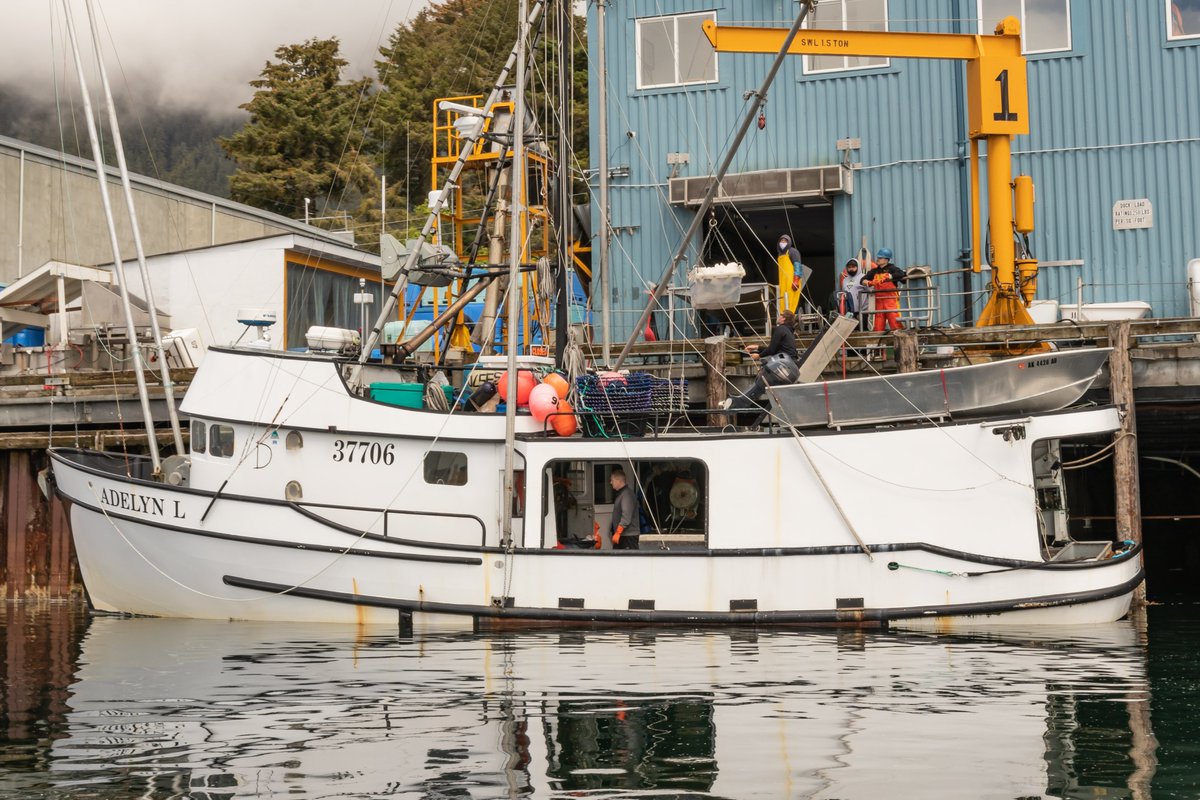 thewavenw's tweet photo. .@anchoragepress recently featured our food program work. Check it out -> https://t.co/Kz4yN9ulHj
@alaskansown @foodfleetevents @walk4changeUS
#thewavenw #fishermanareessential #alaskansown #wildalaskaseafood #Walk4Change2020 #WeDoBetterRelief #covid19 https://t.co/WjZyasgQK5