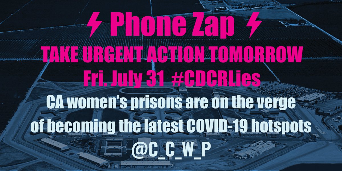 Hi all! Please join us for a #CDCRLies action in demanding that @CACorrections & @GavinNewsom take action to prevent the spread of COVID inside CCWF, the largest women's prison in the world. Go to bit.ly/CDCRLies for tool kit in demanding for #MassRelease & #FreeThemAll