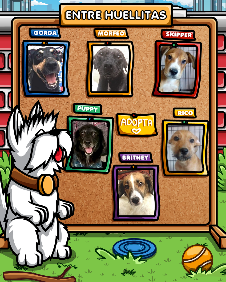 Estamos buscando hogar para estos Lomitos. Se encuentran en el Albergue Adoptables entre Huellitas ¿Me ayudan?