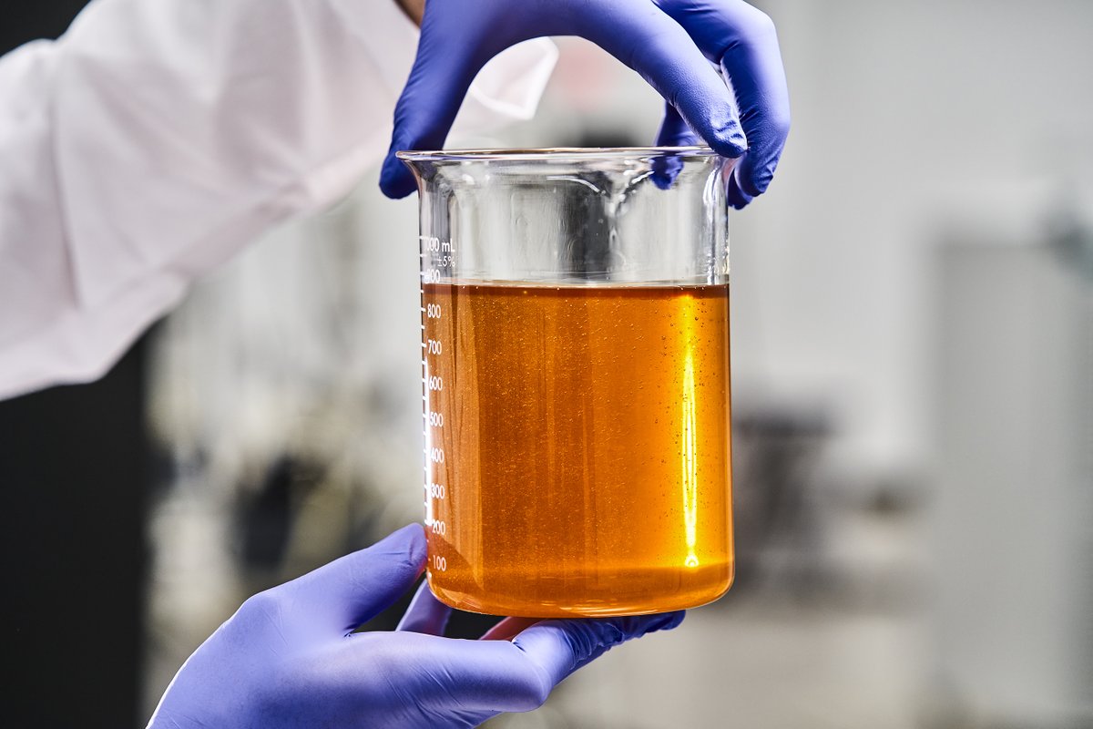 Quality is everything. 

#hemp #science #hempcompliance #hempplants #hempprocessor #moderncrop #production #innovation #quality #cbd #hempcbd