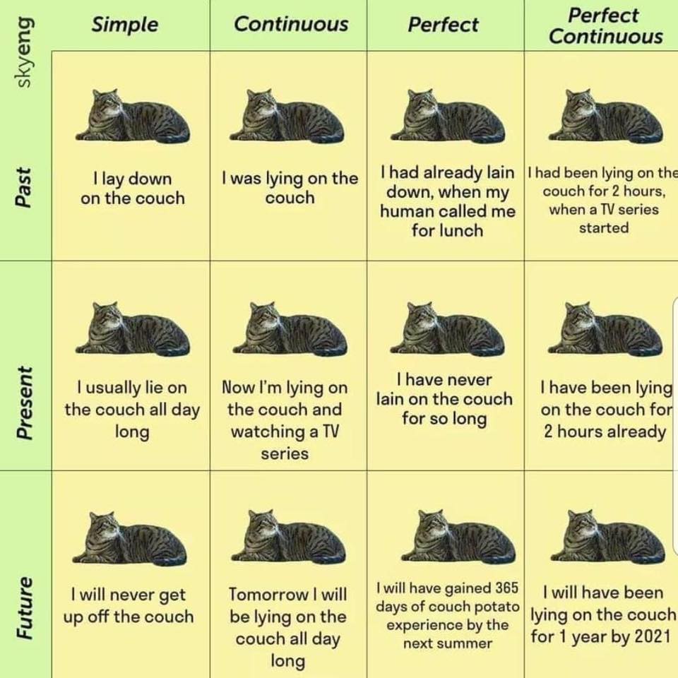 The_CIEP's tweet image. Welcome to the weekend! 😎 To celebrate - cats and grammar! 🐱