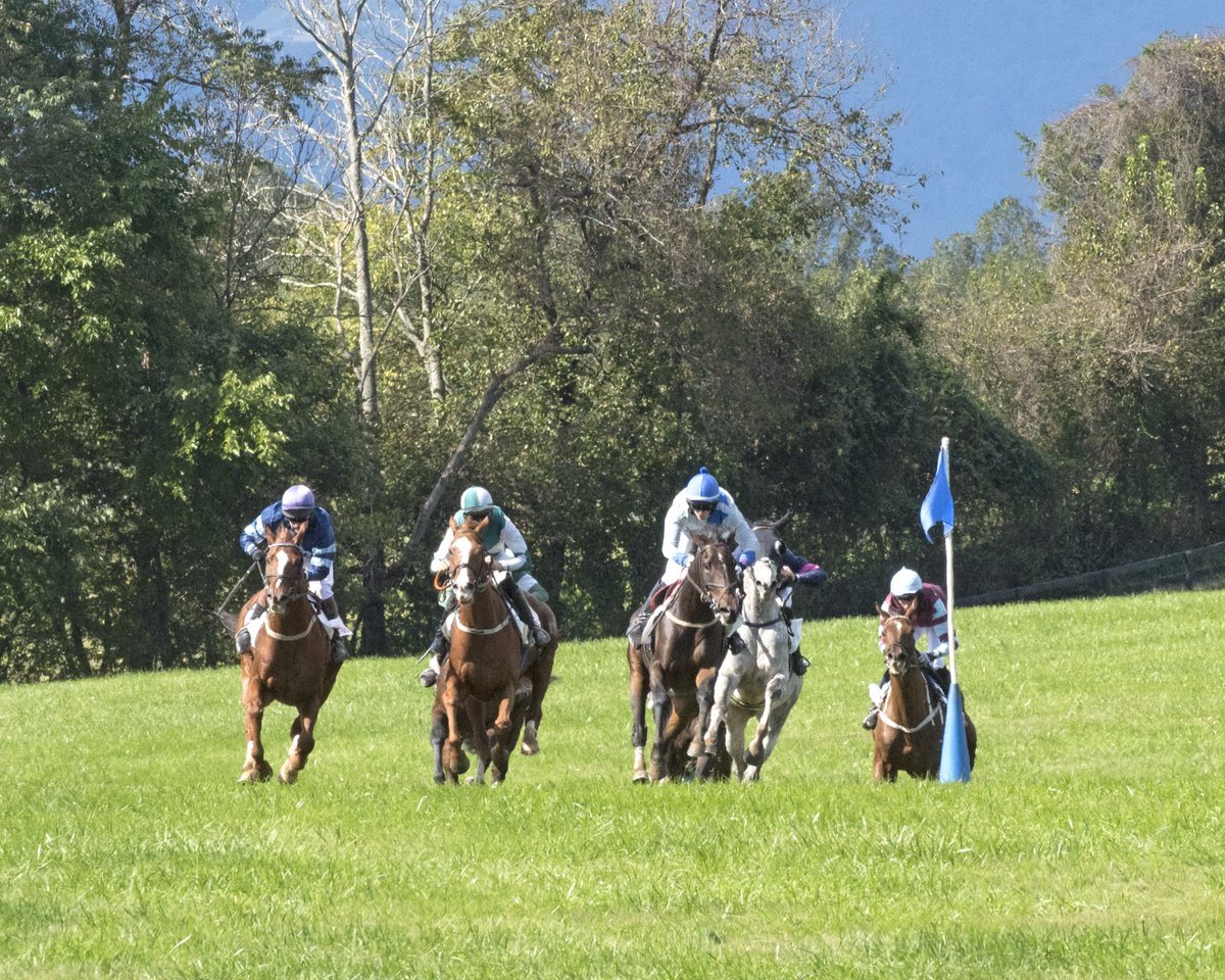 Virginia Fall Races tweet media