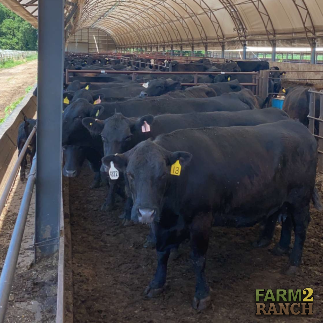 farm2_ranch's tweet photo. Don't just stand there... go to https://t.co/dXL3JyINW6!

#farm2ranch #usedag #agriculture #letsgrowtogether https://t.co/wjRoGaNeMa