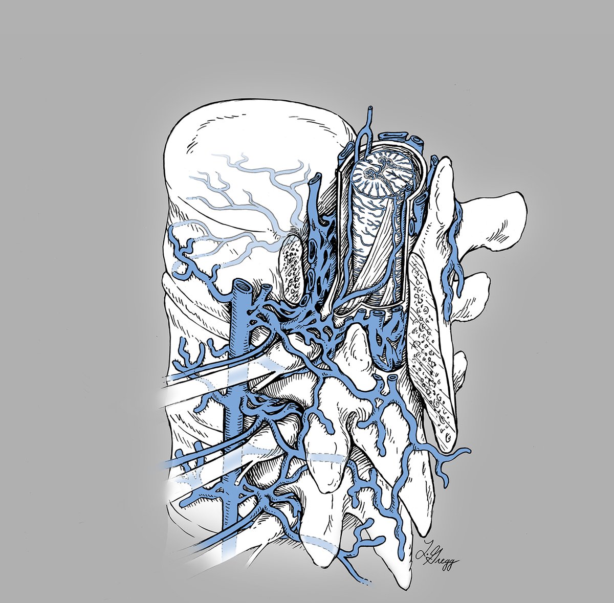 Lydia Gregg 🧠✍🏻 tweet media