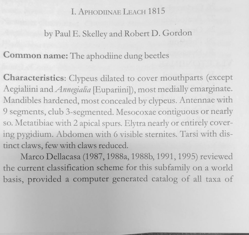 fran_keller's tweet photo. When a former student sends you a beetle to identify, you do it. Not a #Teneb but still an #AmazingBeetle
A scarab.
Got to genus Aphodius (Liothorax), didn’t have species key
Found in the stomach of a bullfrog https://t.co/4RGwRkDnk7