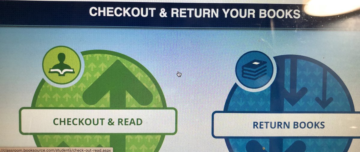 Susan Haynes tweet media