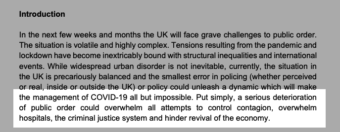 "Put simply, a serious deterioration of public order could overwhelm all attempts to control contagion, overwhelmhospitals, the criminal justice system and hinder revival of the economy."
