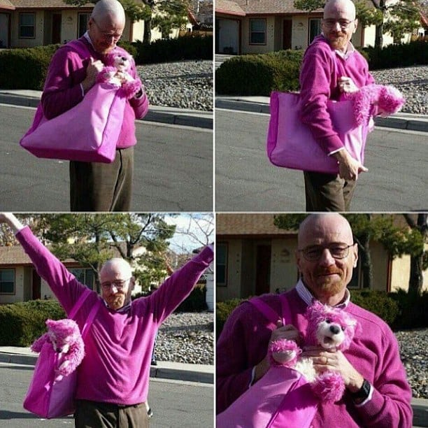 BreakingBad's tweet photo. that's it. that's the tweet. https://t.co/WUjGHDSXKz