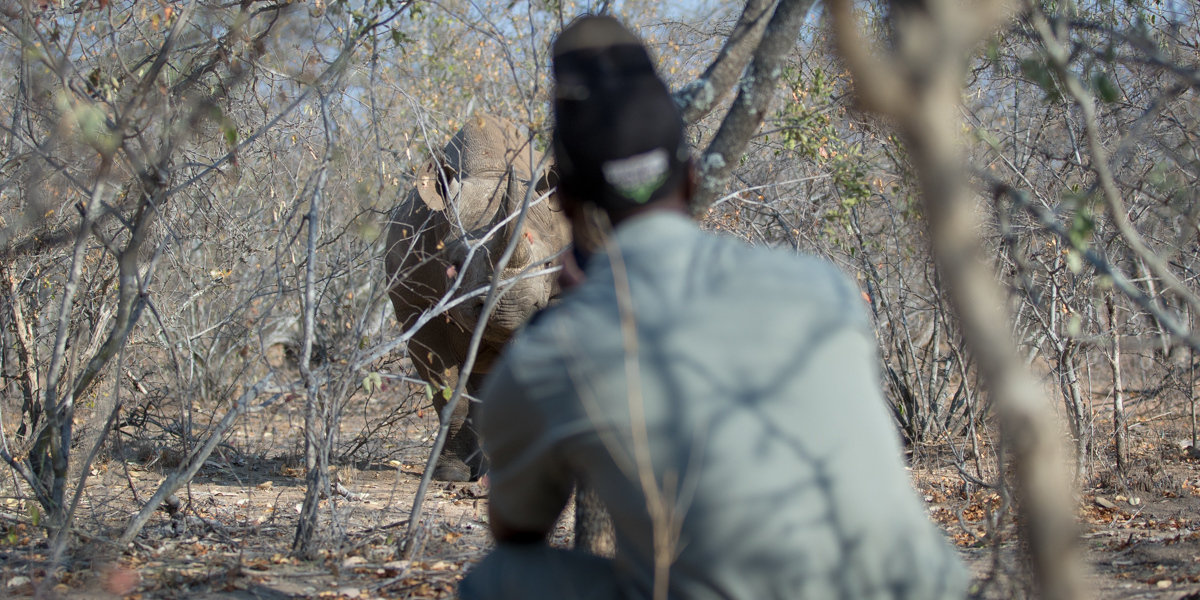 TheRhinoCrash's tweet photo. On World Ranger Day 🐾 A massive shoutout to all the rangers around the globe, dedicating themselves towards protecting this planet's endangered species.🌍🆘🦏 #worldrangerday #heroes https://t.co/ueMdPIMq0z