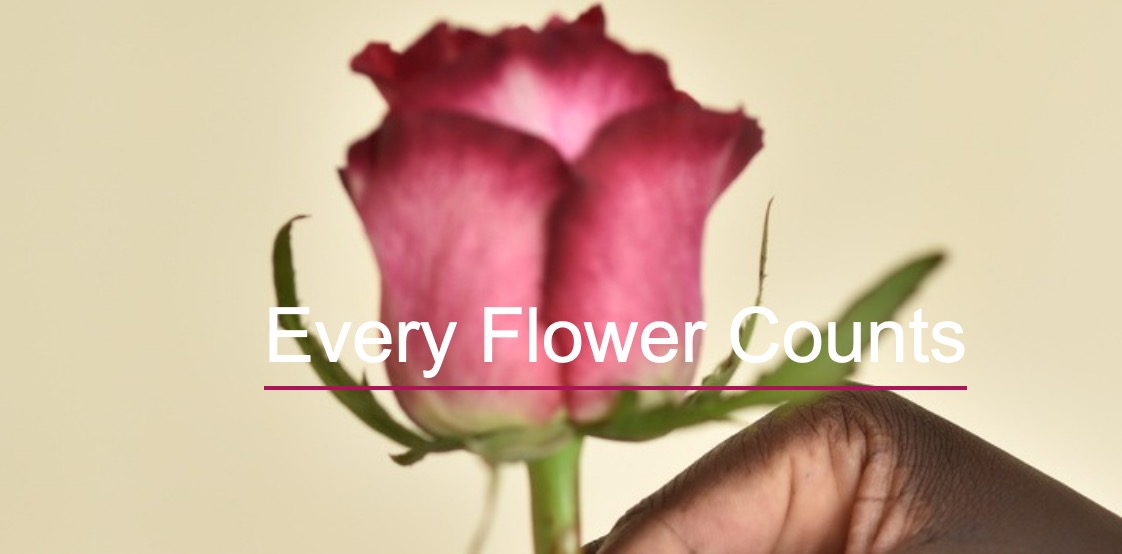 SyngentaOCKE's tweet photo. Our 🌸 #EveryFlowerCounts 🌸 program develops solutions that give higher yields &amp; more marketable cut #flowers for YOU the growers. 
Controlling diseases, insects and nematodes for optimum plant growth ✅
https://t.co/UohjX88rlf
#Growers #Ornamentals #FlowerCrops #Horticulture https://t.co/kAwXcSGLqh