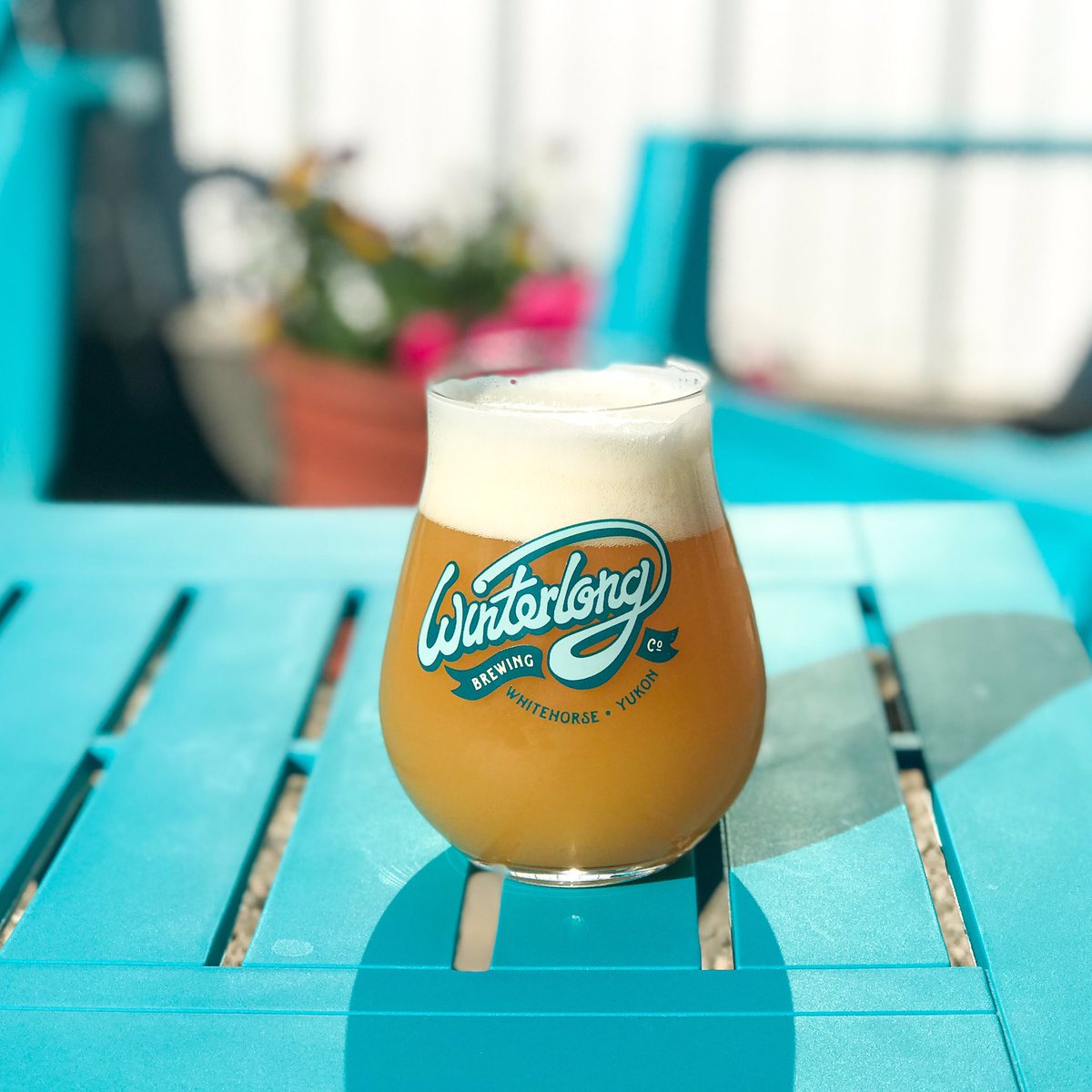 winterlongbeer's tweet photo. HazySexyCool is back today! Why did it take so long?  Well it was simply waiting until Summer was actually here. 
#cuttingitclose #hazysexycool #hazyipa #summerbeers #patioseason #winterlong #summerisshort #yukonceaftbeer #craftbeer #localbrewery #supportlocal https://t.co/vsamBP3dq6