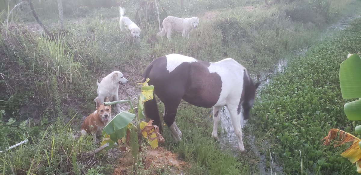 FarmingFitz tweet media