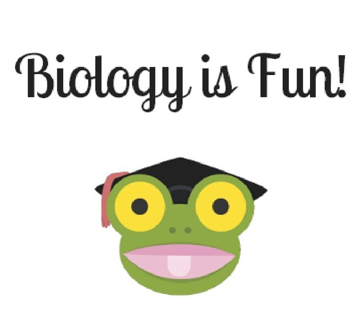 BiologyWit's tweet photo. Hlo everyone, 
This is Wit Biology, A Pure Science Website for Education to All...Here we can share the contents about all around biology...we can learn everything about biology in depth...
#Biology #science #witbiology #allaroundbiology https://t.co/ML9Wmv3Ciu