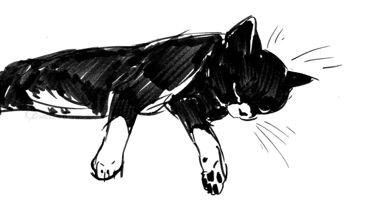 bellandpixel's tweet photo. Kathy McGheeโs tuxedo kitty during our weekly faculty meeting. #ccadcreateaway #zoompets #zoomdoodles https://t.co/sw3XIofSQL