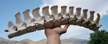 Hawk&Young tweet media