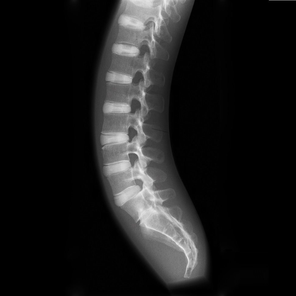 Hawk&Young tweet media