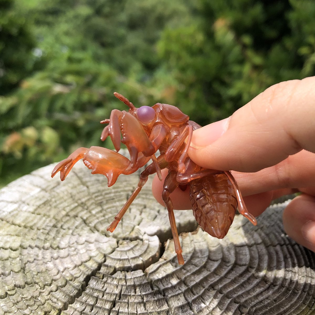 ゆきいち Doro Yuki Twitter