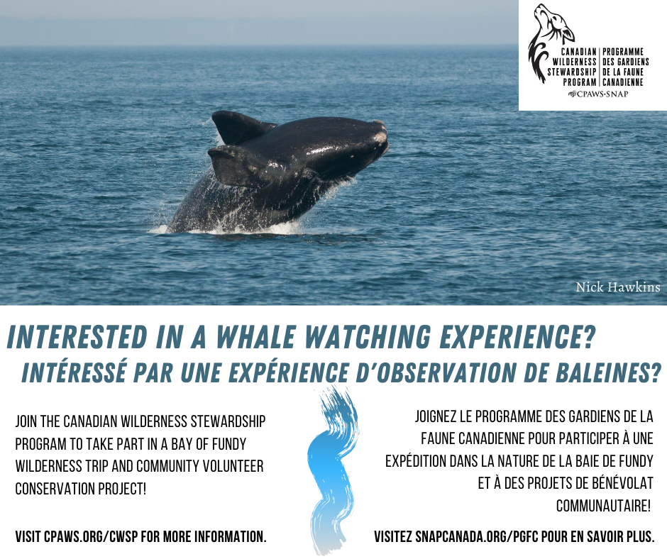 CPAWSNB's tweet photo. Applications for the Canadian Wilderness Stewardship Program are being accepted NOW through August 7th. Are you ready to explore NB and become a steward for our wild spaces?
For details about eligibility and more visit:
https://t.co/VruuKDBfc8
#CPAWSinAction #LeadersToday https://t.co/1Vj0MXiiOP
