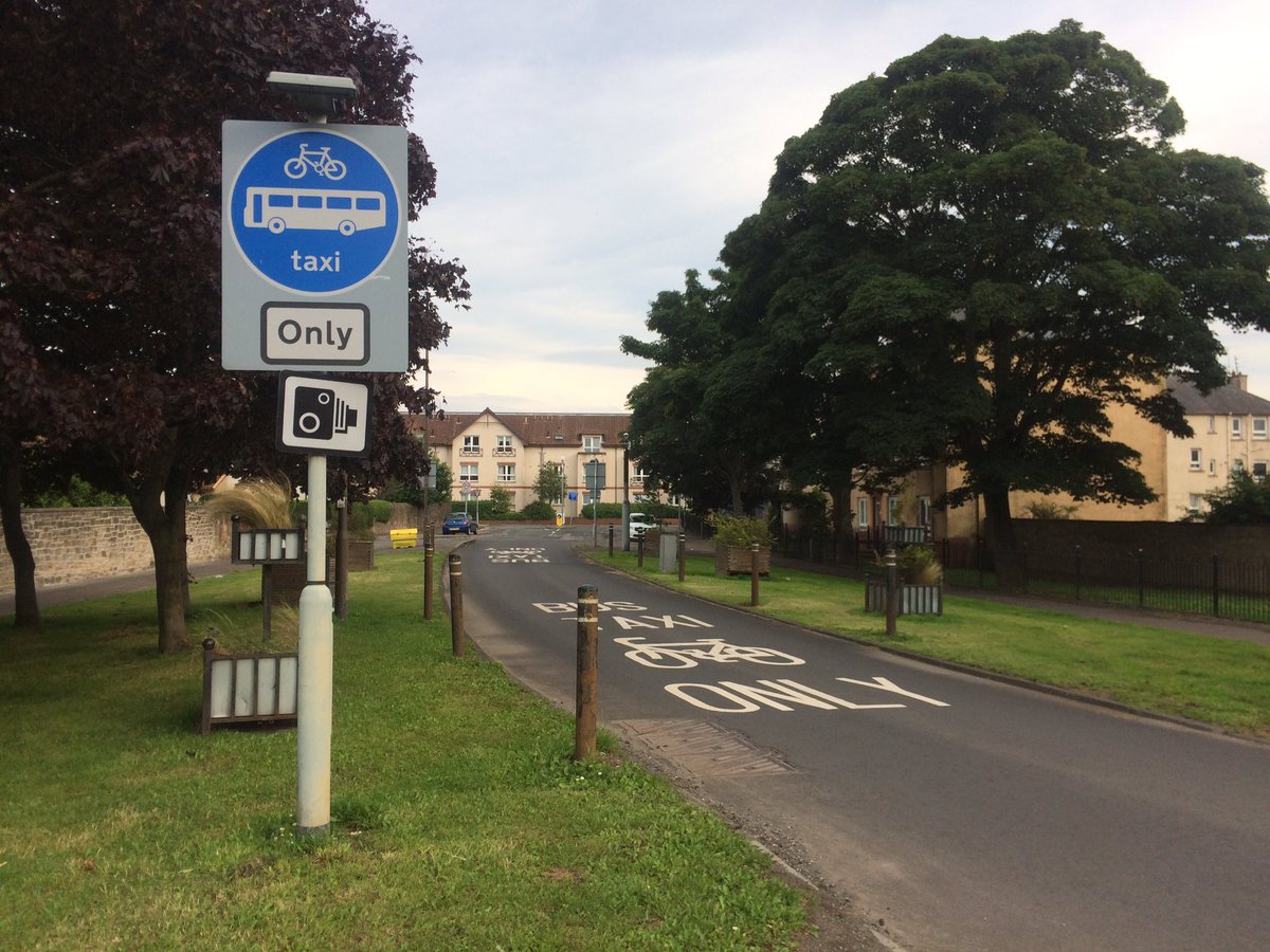 Such a thing of beauty! And the residential street is quiet, busy only with bird song and the sound of children laughing. Why wouldn’t you beg for these at the end of, or in the middle of, your street?  #busgate