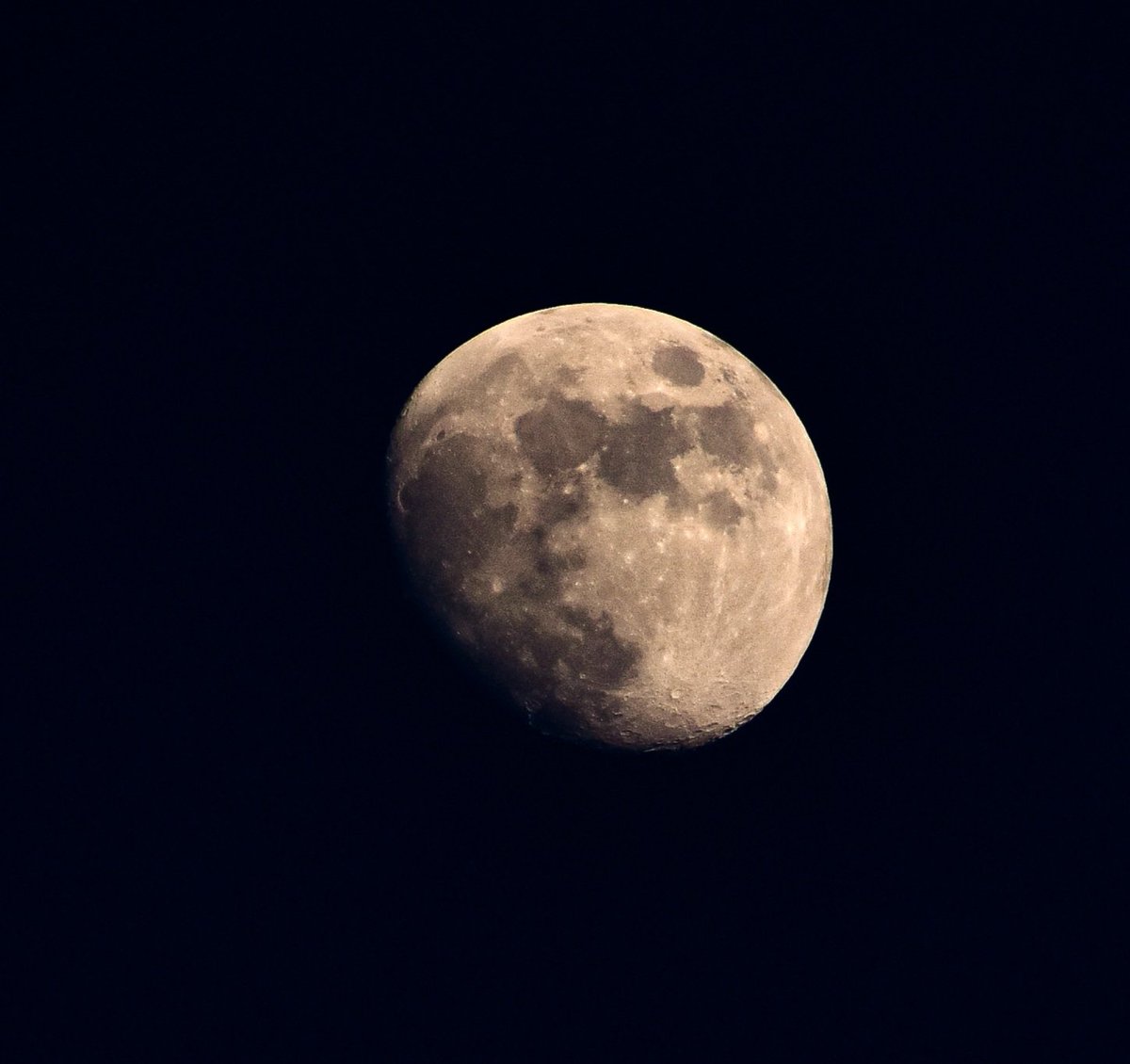 BeProfessiona12's tweet photo. 31/07/2020, 7:16 PM
.
View of moon from Ahmedabad, India.
.
Captured with - @NikonIndia
D5600.
.
Image courtesy - @BeProfessiona12 
.
#moon #PhotoOfTheDay #India #Astrophotography #Nikon #Ahmedabad #MOONLIGHT https://t.co/ODSsJsJs0i