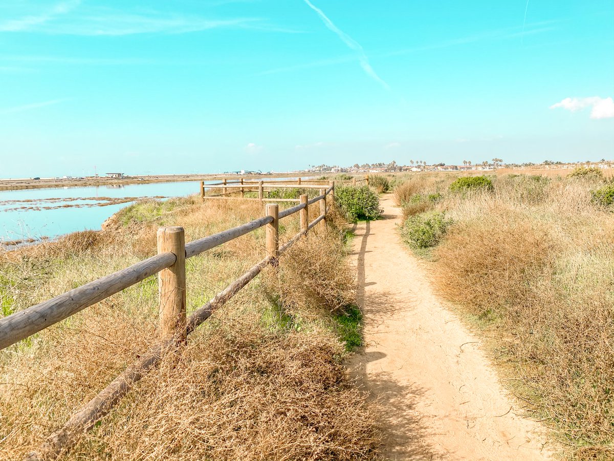 HBSurfCityUSA's tweet photo. Hit the reset button on your mind, body and soul.
Turn off the notifications.
Turn on your senses.
Deep breaths. Let it all go.
#HelloFreshAir 🌴 Learn more about the Bolsa Chica Ecological Reserve here: https://t.co/0GzEpDY3Gc
#HuntingtonBeach #SurfCityUSA https://t.co/tKs6MyTO6g