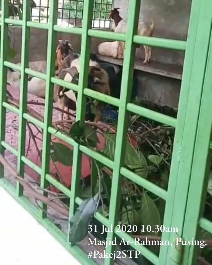 Papan2Stp's tweet photo. PAKEJ 2 RSTP 31.07.2020 - Program Ibadah Korban Sempena Hari Raya Aidil Adha di Masjid Ar-Rahman, Indian Muslim, Pusing Perak. #IpohRSTP #JPP #loyalengineering #Pakej2rstp#Papan2STP
#Ipohregionalsewagetreatmentplant https://t.co/Nfl8kFHt5j