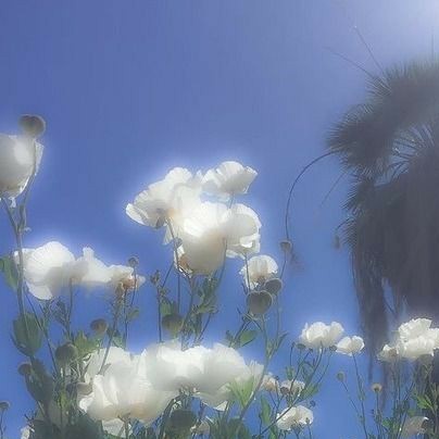 - ғᴏʀ ʏᴏᴜ ᴍʏ ᴄᴜᴛᴇ יִ