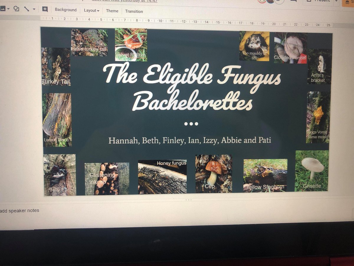 izzygckerr's tweet photo. Really sad the BES summer school has finished! Was such an amazing experience to speak to people who share similar passions, gain lots of useful info about careers in ecology and I learnt so much about mushrooms! #BESUG20 @BES_careers https://t.co/ir3ajqRF1l