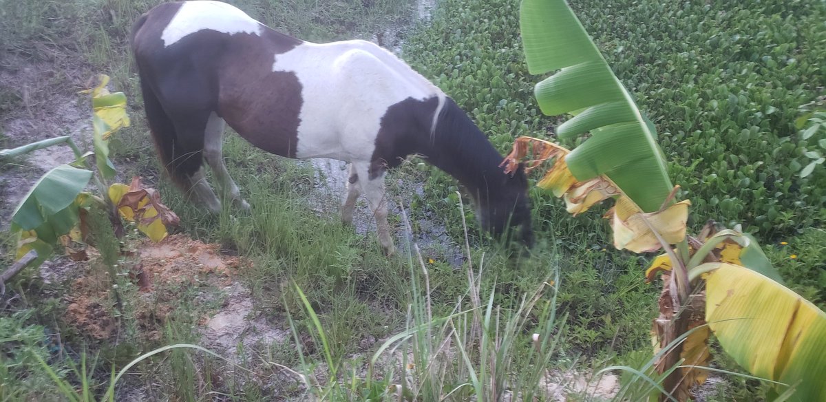 FarmingFitz tweet media