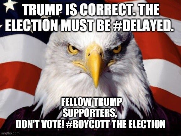 PchristianGo's tweet photo. Boycott the election! Radical libs are trying to steal our election! #delayed https://t.co/mwy8Jsr0nF