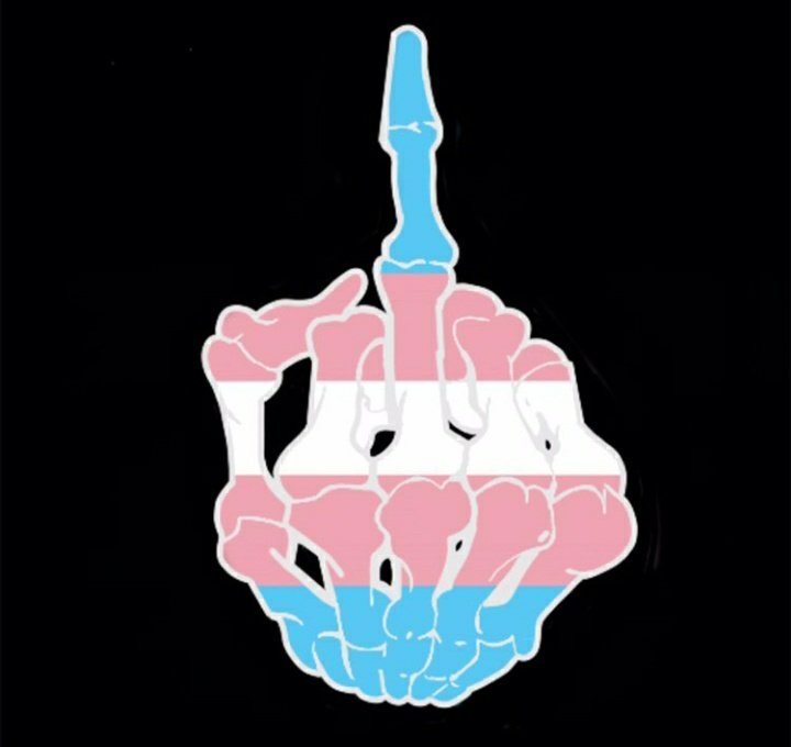 SandersLolo's tweet image. Retweet to insult a transphobe 😌