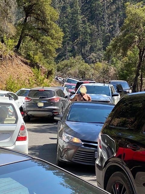 Forest Service NW tweet media