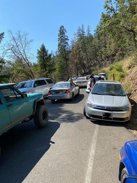 Forest Service NW tweet media