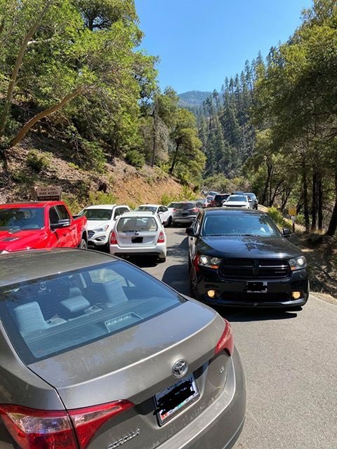 Forest Service NW tweet media