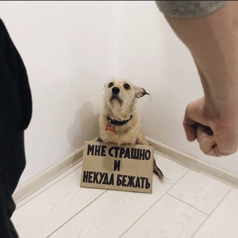 какая же крутая акция