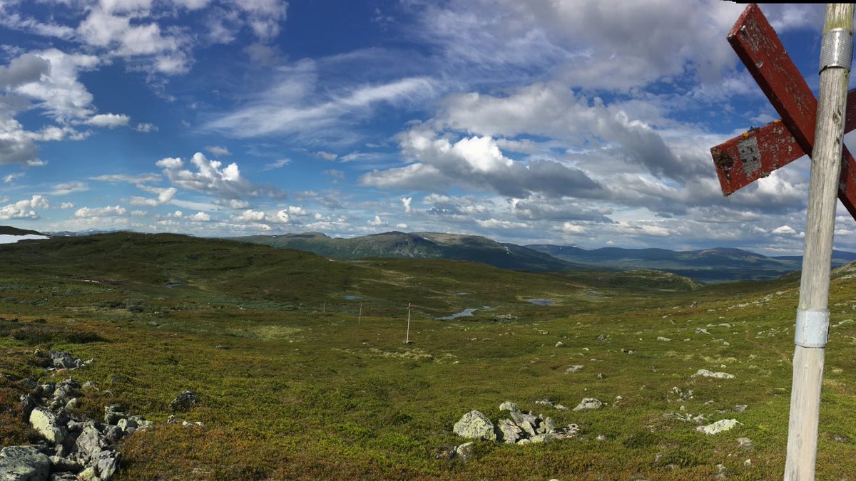 ecoserviceAnki's tweet photo. En sommarhälsning från norra Jämtland - Daimadalens naturreservat! #storslagenfjällmiljö #rekreation #jämtland #daimadalen #friluftsliv #hälsa #biologiskmångfald https://t.co/X7ArWwulSZ