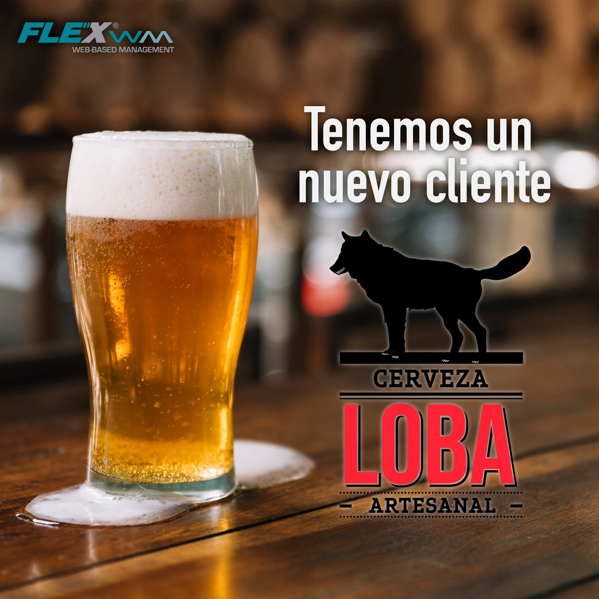 VISUALMEXICO's tweet photo. Tenemos un nuevo cliente en #FLEXwm, Cervecería Loba fabricante de cervezas artesanales ubicada en la ciudad de Guadalajara.
#VisualMX #FLEXwm #VisualMexico #Software #Business #GestiondeNegocios #IT https://t.co/i8DnzrkcHL