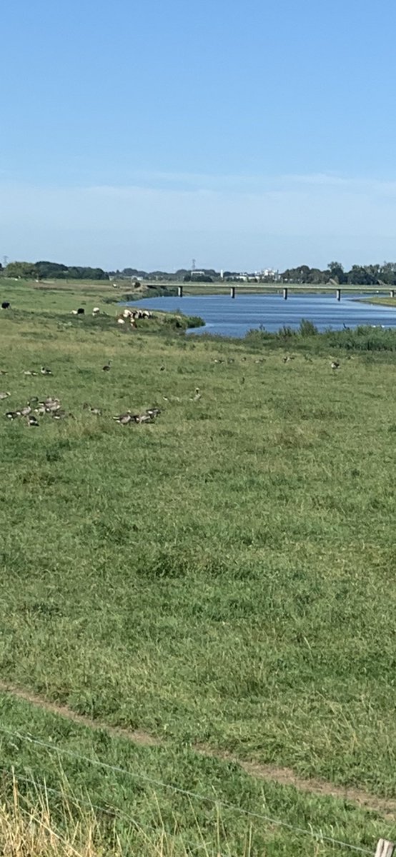 Dag 7/7 #mylifeinpictures. Genomineerd door @papohnepudding. Geen mensen geen woorden. Ik geef het stokje door aan <a href="/Wolk2611/">Robert van der Wolk</a>