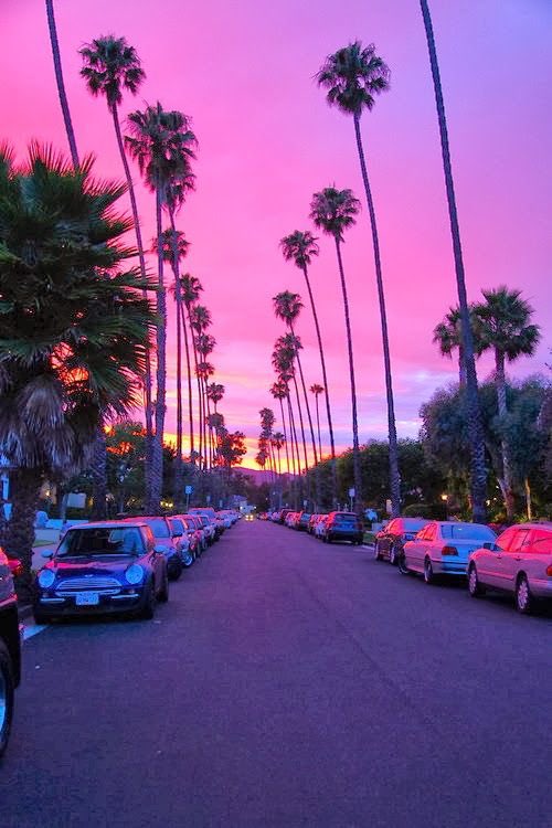 藤井美穂 俳優 ﾌﾟﾗｽｻｲｽﾞﾓﾃﾞﾙ Miho Fuji 在 Twitter 上 ロサンゼルスの空は本当に中学生のポエムつきの待ち受け画像並に ピンクで 本当大好きなんだけど 大気汚染が原因なんだよね こんなすげーピンクなのは 三月にあった光る海も超綺麗だったけど 増えてるのは