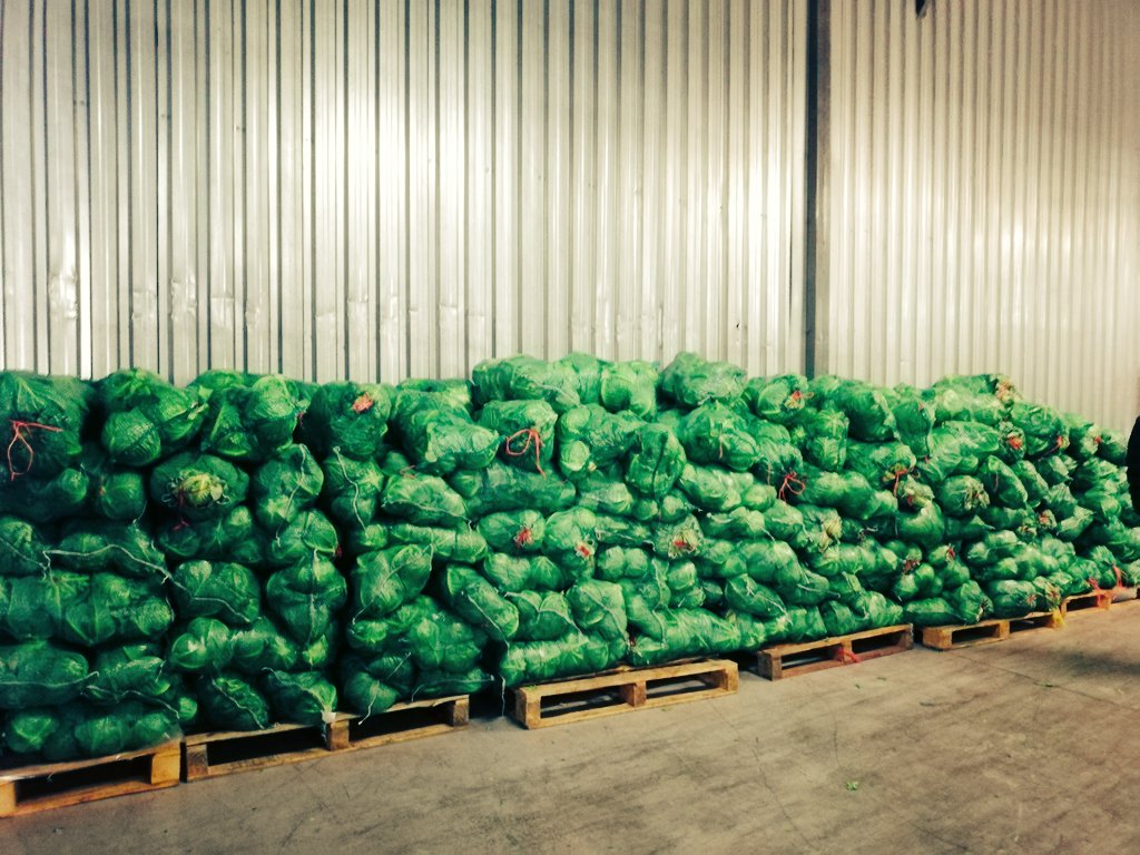 phiko_dlamini's tweet photo. Ensuring food security https://t.co/2D3oXAQ0jp